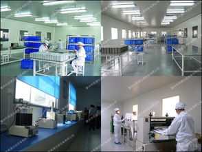 数字时代广告业务的演进与未来展望